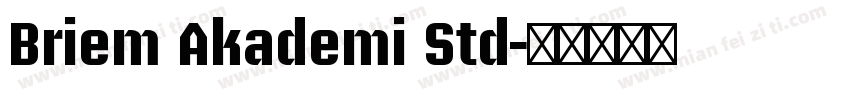 Briem Akademi Std字体转换